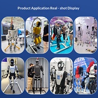 Grue de levage robotisée intelligente anti-chute et anti-déplacement, dispositif de levage humanoïde électrique silencieux multicolore