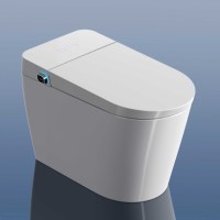 Intelligent porcelaine wc monté au sol eau Japon cuvette de toilette salle de bain automatique céramique noir toilette intelligente