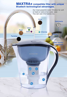 Fabricant Style Design Filtre Purificateur d'Eau Potable Ioniseur Fourni Chine Manuel HS-530-F002 Pichet Carafe Personnalisé GRATUIT