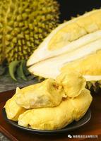 Durian naturel séché poudre pour jus de fruits boisson suppléments gâteau à la crème glacée smoothies biscuits shakes de l'usine BRC Halal