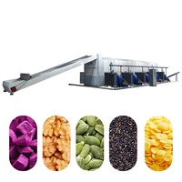 Snelle En Continue Tunneldroger Voor Voedsel Grote Voedseldroger Bananen/Mango 'S/En Druiven Druivendroger Machine
