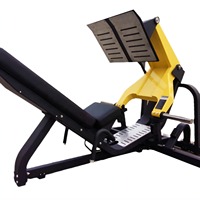 Machine commerciale de presse de jambe de 45 degrés d'entraînement de force chargée par plat de musculation de gymnase