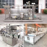 Volledig automatische 100kg/uur complete mini-tomatenverwerkingsinstallatie pasta-productielijn alle machines