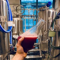 Equipo de fermentación de cerveza a pequeña escala, 50L, 1HL, 2HL, 3HL, 4HL, 5HL, 6HL, 8HL, 10HL, 15HL, 20HL, en venta