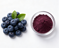 Blauwe Bosbes Extract Poeder 10:1 Natuurlijk Anthocyanine Rijk Bulk Voedingsmiddelkwaliteit Fruitpoeder Groothandel OEM Supplement Ingrediënt