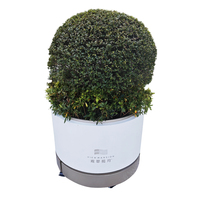 Pots de fleurs en métal pour jardin, vente en gros, adaptés à une utilisation dans les rues, dans les hôtels et les appartements ; personnalisation, boîte à fleurs