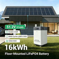 Venta Directa de Fábrica, Batería Lifepo4 Todo en Uno de 16 kWh y 51.2 V con Poleas, Batería Solar de Litio para Almacenamiento de Energía Solar en el Hogar