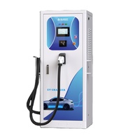 Bluesky Nouveau chargeur EV DC intégré commercial IP55 100A 30KW avec Chademo CDZ-A Modèle OCPP1.6J CCS1 CCS2