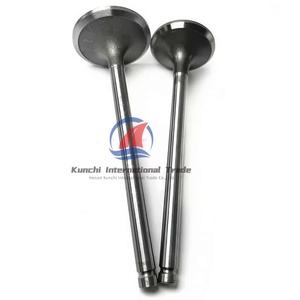 Válvula de escape de admisión LGH101450 para BMW E87 E46 <span class=keywords><strong>E39</strong></span> E60 E61 E53 M47 M57 N57N 306D2 306D3 306D5 MG Rover 204D2 válvula Tappet - Product Image 3