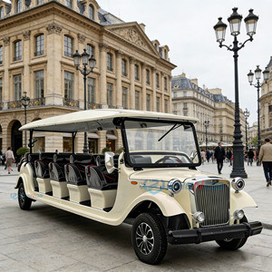 Vehículo Eléctrico de Múltiples Asientos, Diseño Clásico Retro, Baja Velocidad, para Recorridos Turísticos en Parques, Resorts y Zonas Panorámicas - Product Image 2
