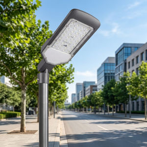 Lámpara LED Profesional para Exteriores Modelo Radiato de 36W con Diseño de Lente de Alto Brillo para Carreteras, Parques Públicos y Perímetros - Product Image 1