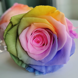 Y rosa oem promocional madre preserv rosa de alta calidad arco iris y cabezas rosa - Product Image 5