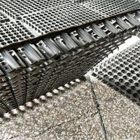 Plaque de vidange à fossettes en plastique HDPE Panneau de cellules de pavage de sous-sol pour toit jardin Geo Sythetics Terrassement Meilleur prix