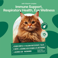Suppléments liquides de nutrition pour animaux de compagnie OEM/ODM avec multivitamine pour un soutien immunitaire quotidien en gouttes liquides