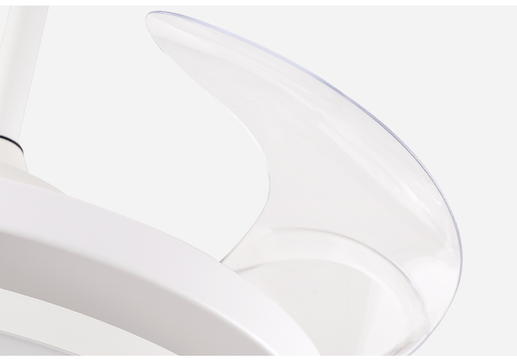 Breezelux fans with lamp