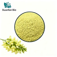 Poudre de Rutine 98% d'Extrait de Sophora Japonica Qualité Cosmétique CAS 153-18-4 Emballage en Fût Matière Première en Vrac Fourniture Directe Usine