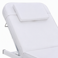 Table de massage esthétique de luxe portable avec dossier réglable, appui-tête détachable et structure en acier inoxydable pour les soins