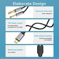 Xput Tip C - Çift 6.35MM Y Splitter Ses Enstrüman Kablosu USB C - Çift 6.35MM Kablo Telefon Dizüstü Bilgisayar Müzik Cihazlarını Bağlamak İçin