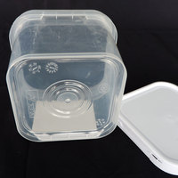 Seau à miel carré en plastique de qualité alimentaire, seau rectangulaire en plastique avec couvercle et poignée, vente chaude