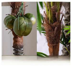 <span class=keywords><strong>Palma</strong></span> Artificiale Gigante da 2,1 Metri Resistente ai Raggi UV, <span class=keywords><strong>Palma</strong></span> in Plastica per Esterni Direttamente dalla Fabbrica per Giardini, Hotel e Paesaggistica Commerciale - Product Image 2