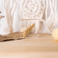 Groothandel Handgemaakte Harsen Handwerk Diy Vruchten Zaden Specimen Leermiddelen Kerstgeschenken Plant Hars Ambachten