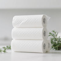 Rouleaux de papier essuie-tout de cuisine OEM 2 plis, hautement absorbants, biodégradables, gaufrés, écologiques, en pâte vierge