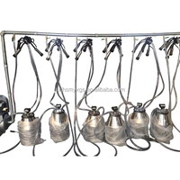 Machine à traire portative de haute qualité de vache avec le composant de moteur de noyau de pompe à vide de seau de quatre seaux