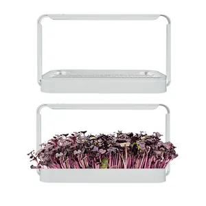 Kit de invernadero de luz para cultivo de jardín de hierbas para interiores Ideas de regalos Sistema de cultivo hidropónico Led Mini jardín inteligente para interiores