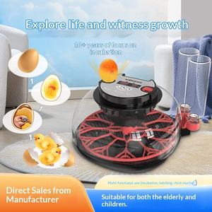 Incubateur d'œufs automatique 12 places pour volailles d'extérieur, <span class=keywords><strong>couveuse</strong></span> pour œufs de caille et de canaris - Product Image 1