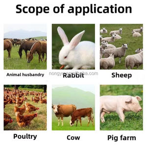 Machine à couper les légumes pour la préparation d'aliments pour animaux |   Hacheuse de fourrage verte pour ferme - Product Image 5