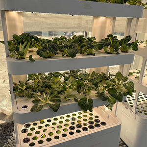 Sistemas de cultivo hidropónico para plantas Bomba de interior automática al por mayor Nuevo producto 2020 Barato proporcionado 65 PVC de grado alimenticio 3 meses 102 - Product Image 5