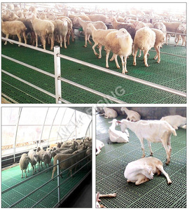 Panneau de sol à lattes renforcé en plastique vierge à 100 % pour moutons et chèvres, avec système <span class=keywords><strong>d</strong></span>'interverrouillage sans soudure, pour la gestion des fumiers dans les enclos à moutons - Product Image 5