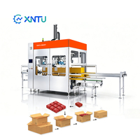Máquina de Embalagem Automática de Alta Velocidade com Carregamento Superior - 22 Caixas/min - Ideal para a Indústria Química Diária