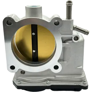 Auto Parts Throttle Body 22030-20060 22030-0A020 337-60928 977335 678012 For Toyota Camry