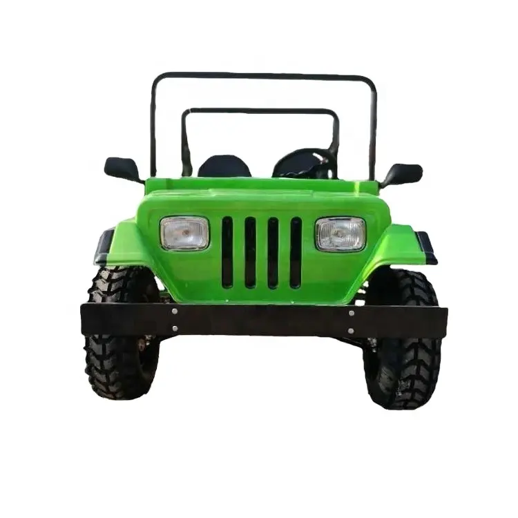 Manufaktur Mini Jeep 2-Rad-Antrieb Farm Car 4x4 Dune Buggy 200cc Benzin Offroad-Auto