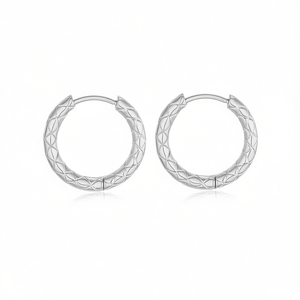 เอมี่ เอมี่ ฮูปต่างหู 2.5*8 เครื่องประดับแฟชั่นสตรีทรงเรขาคณิตชุบเงิน - Product Image 1