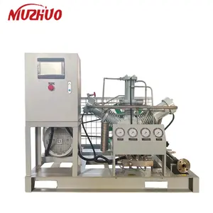 NUZHUO Eco-Friendly Carbon Dioxide Booster With Cylinders Filling CO2 Compressor 200 Bar On Hot Sell