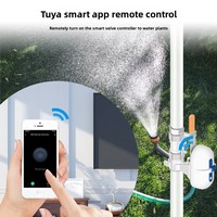 Contrôleur intelligent Zigbee pour conduite de gaz domestique, application Tuya, télécommande programmable, vanne d'eau 12V1A
