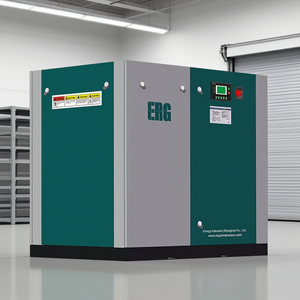 คอมเพรสเซอร์แบบสกรูสองจังหวะ ERG รุ่นขายดี - Product Image 1