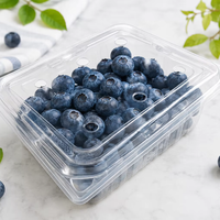 Biologisch afbreekbare fruitverpakking van PLA, wegwerpbaar, transparant, voor blauwe bessen, milieuvriendelijke blauwe bessen clamshell