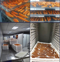 Industriële Elektrische Intelligente 304 RVS 20 Laagse 80 Bakjes Laagse Gedroogde Vruchten Voedsel Droger Dehydrator Droogmachine