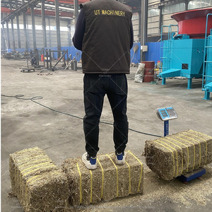 Machines automatiques pour le pressage horizontal et l'emballage de l'herbe ensilage paille foin luzerne - Product Image 6