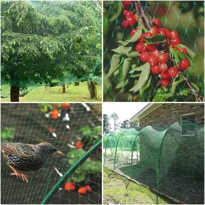 Rete anti uccelli HDPE + UV in agricoltura protezione della copertura della frutta delle verdure dell'albero