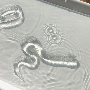 ของเล่นงู TPR ยืดหยุ่นได้ โปร่งใส น่ารัก ของเล่นบีบคลายเครียด สำหรับเด็กอายุ 8+ และ 14+ - Product Image 5