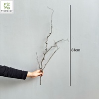 Vente en gros de branche de jujube artificielle en TPE de 89 cm, longue branche de saule, branche morte pour la décoration de mariage, de Noël et de la maison