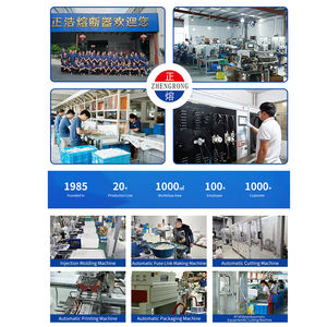 Заводской изготовленный на заказ RGS4 высококачественный предохранитель с квадратной трубкой - Product Image 6