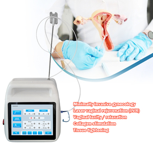 Laser a Diodi Ginecologico Minimale 980nm 1470nm per Ginecologia, Rassodamento Vaginale, Lipolisi Ginecologica, EVLT, ORL - Product Image 5