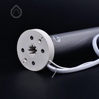 Moteur tubulaire 25 mm 1.1N 1.5N 2N IP44 433 MHz RF, commande vocale via application intelligente, 2 vitesses, silencieux, pour stores enrouleurs et projets
