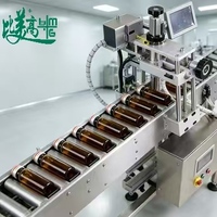 Machine de marquage laser UV multifonctionnelle avec inspection automatique des défauts pour la gravure de bouteilles en verre et en plastique mixtes