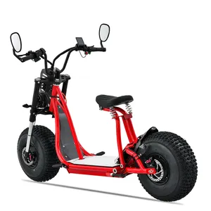 Đá Scooter chất béo lốp Chopper 3000W E điện Scooter nhà sản xuất